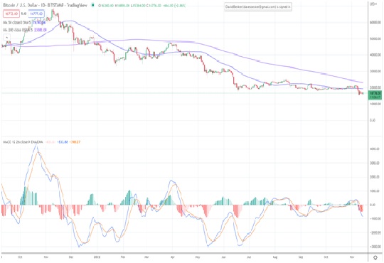 Optimistic Investors Still Believe in Bitcoin Despite Lagging Other Altcoins