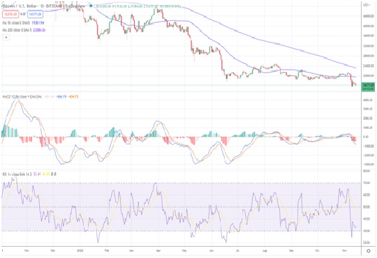 Optimistic Investors Still Believe in Bitcoin Despite Lagging Other Altcoins