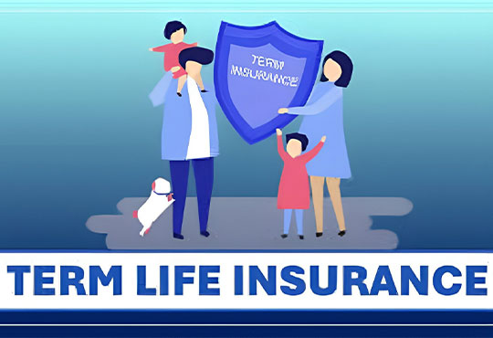 Term Life Insurance Under Section 80D & Its Role in Tax Planning